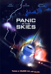 Panic in the Skies! (1996)