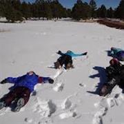 Make a Snowman, Snow Angel or Have a Snowball  Fight