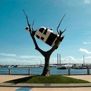 Cow Up a Tree, Melbourne, Australia