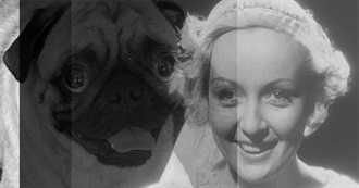 The Cinephile Pug&#39;s Top 101 Films (As of 2017)