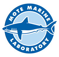 Mote Marine Laboratory &amp; Aquarium