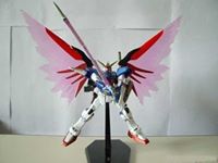 TT Hongli Gundam Model Kits