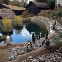 Colchester Zoo