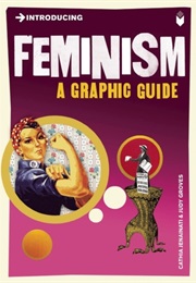 Introducing Feminism: A Graphic Guide (Cathia Jenainati)