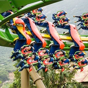 Parrot Coaster (Chimelong Ocean Kingdom, China)