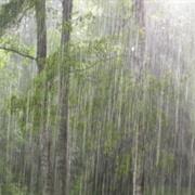 Downpour/Heavy Rain