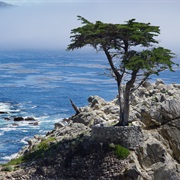 Big Sur and 17-Mile Drive