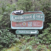 Guillemot Cove Nature Reserve (Seabeck, Washington)