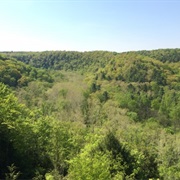 Mohican-Memorial State Forest, Ohio