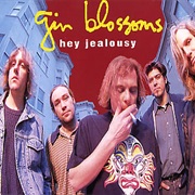 Hey Jealousy - Gin Blossoms