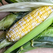 Jersey Corn