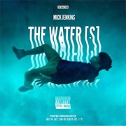 Mick Jenkins the Water[S]