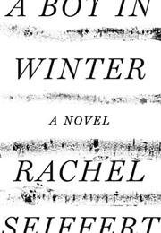 A Boy in Winter (Rachel Seiffert)