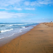 Bolsa Chica State Beach, California