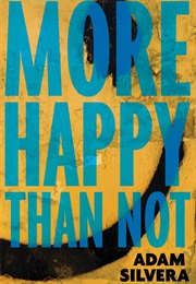 More Happy Than Not (Adam Silvera)