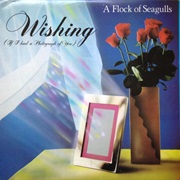 Wishing (If I Had a Photograph) - A Flock of Seagulls