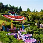 Alice&#39;s Curious Labyrinth