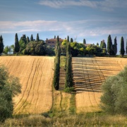 Tuscany (Gladiator)