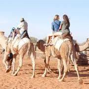 Go for  a Camel Ride
