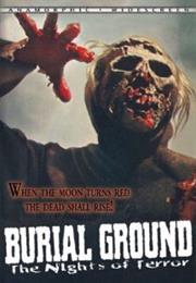 Burial Ground: The Night of Terror