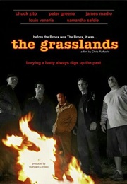 The Grasslands (2011)
