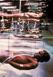 Hanging Bodies - Coma (1978)