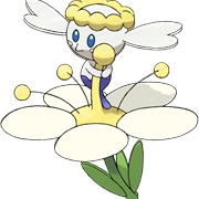 White Flower Flabébé