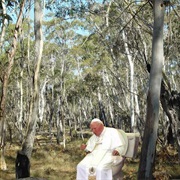 Does the Pope Shit in the Woods