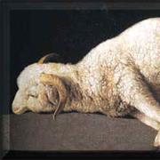 Passover Lamb