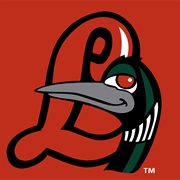 Great Lakes Loons (A)