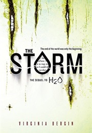 The Storm (Virginia Bergin)