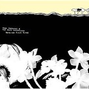 Hope Sandoval &amp; the Warm Intentions - Bavarian Fruit Bread