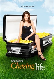 The Chasing Life (2014)