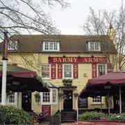 Barmy Arms