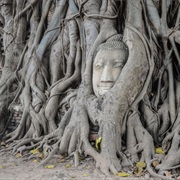 Exploring the Ancient City of Ayutthaya, Thailand