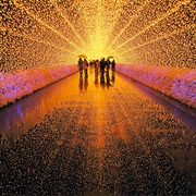 Winter Light Festival in Japan