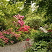 Highline Seatac Botanical Garden