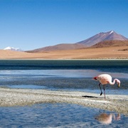 Atacama Salt Flat, Chile