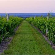 Texas Hill Country&#39;s Wine Region