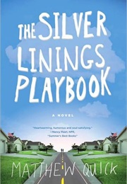 A Book With a Protagonist That Has Your Occupation (The Silver Linings Playbook)