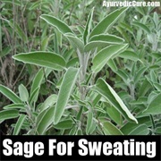 Sage to Reduce Excessive Sweating