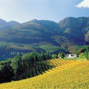 The Cape Winelands, South Africa