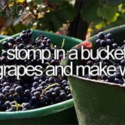 Stomp Grapes to Make Wine