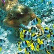 Go Snorkling in the Bahamas