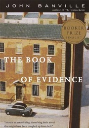 The Book of Evidence (John Banville)
