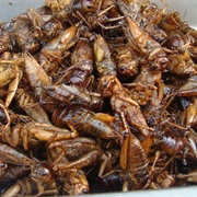 Fried Crickets