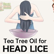 Tea Tree Oil to Kill Lice