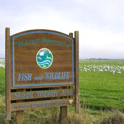 Skagit Wildlife Area (Mount Vernon)