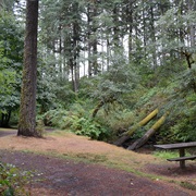 Alderwood State Wayside, Oregon