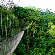 Nyungwe Forest National Park, Rwanda